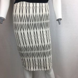 Zara Midi Skirt